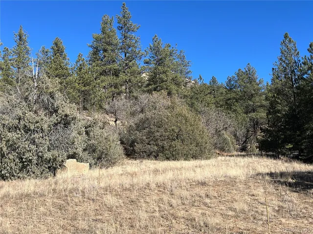 $120,000 | San Pablo Canyon, Weston, CO 81091