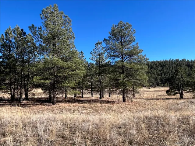 $120,000 | San Pablo Canyon, Weston, CO 81091