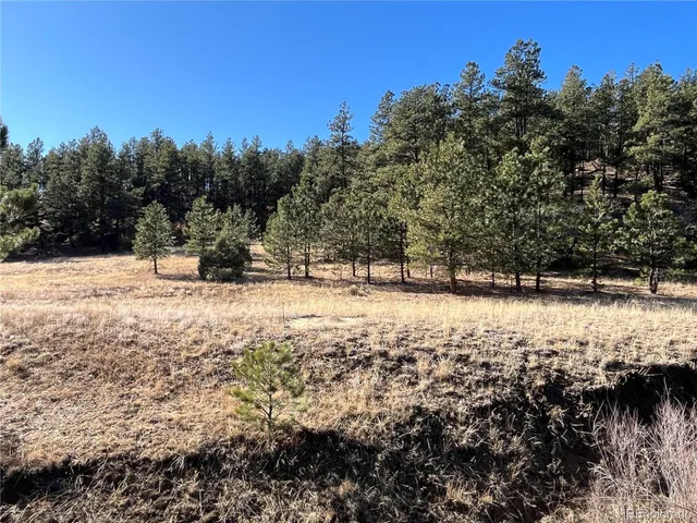 $120,000 | San Pablo Canyon, Weston, CO 81091
