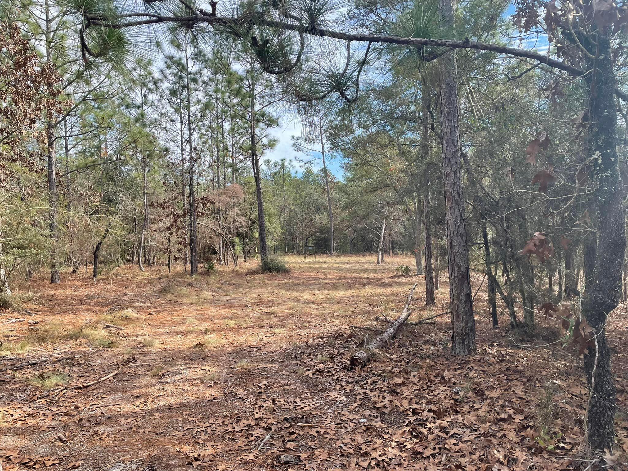 Tbd Tbd Coventry Road DeFuniak Springs, FL 32433 - Photo 15 of 32 15