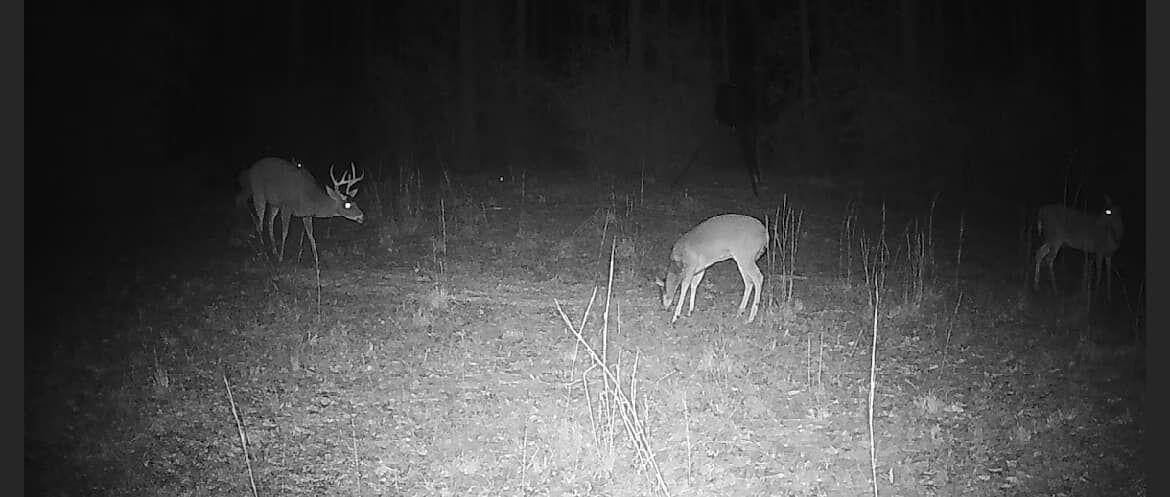 Tbd Tbd Coventry Road DeFuniak Springs, FL 32433 - Photo 16 of 32 12