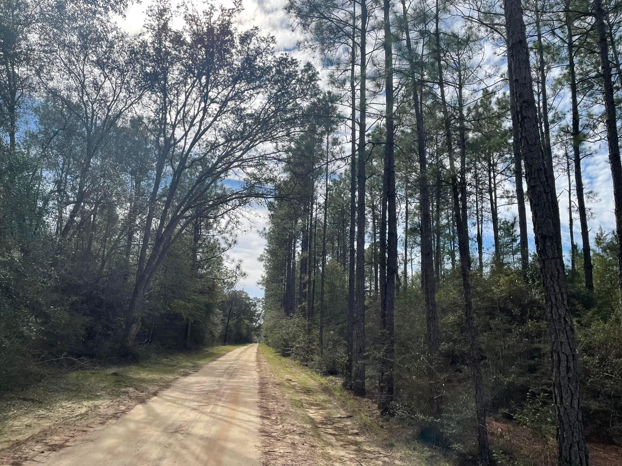 Tbd Tbd Coventry Road DeFuniak Springs, FL 32433 - Photo 2 of 32 14