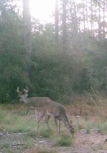 Tbd Tbd Coventry Road DeFuniak Springs, FL 32433 - Photo 25 of 32 3