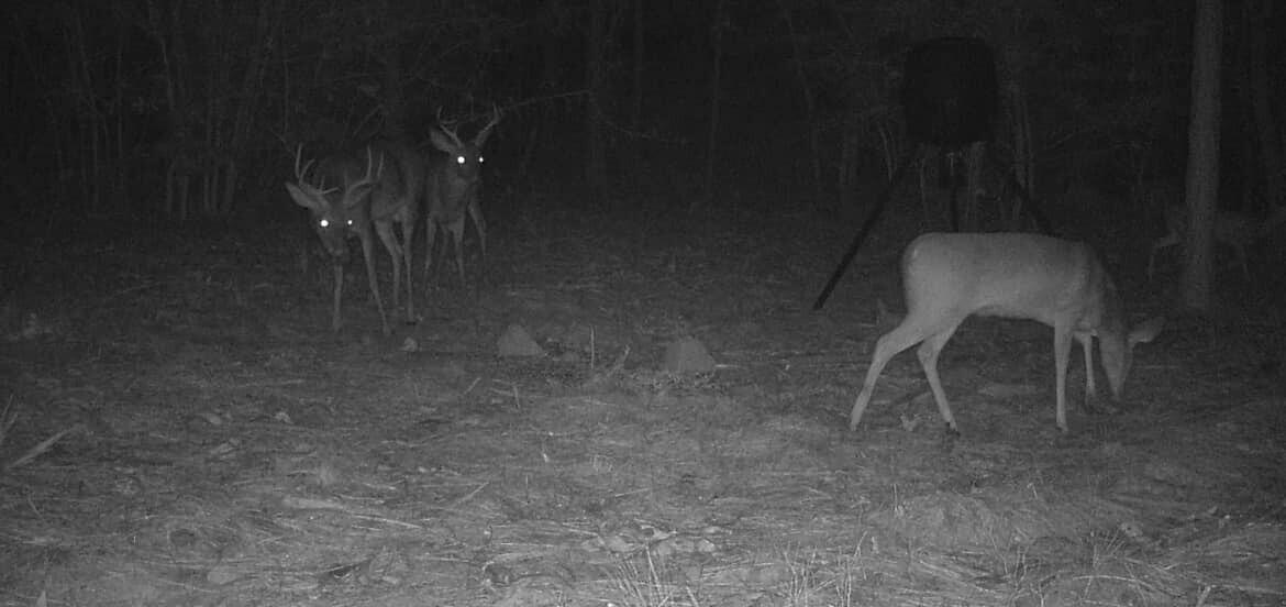 Tbd Tbd Coventry Road DeFuniak Springs, FL 32433 - Photo 28 of 32 8