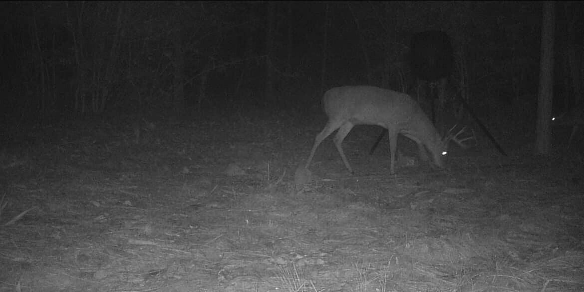 Tbd Tbd Coventry Road DeFuniak Springs, FL 32433 - Photo 29 of 32 6