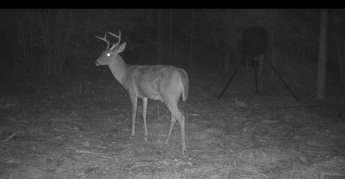 Tbd Tbd Coventry Road DeFuniak Springs, FL 32433 - Photo 30 of 32 4