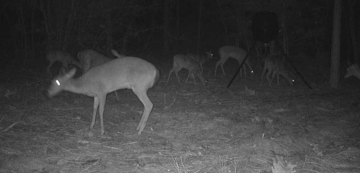 Tbd Tbd Coventry Road DeFuniak Springs, FL 32433 - Photo 32 of 32 2