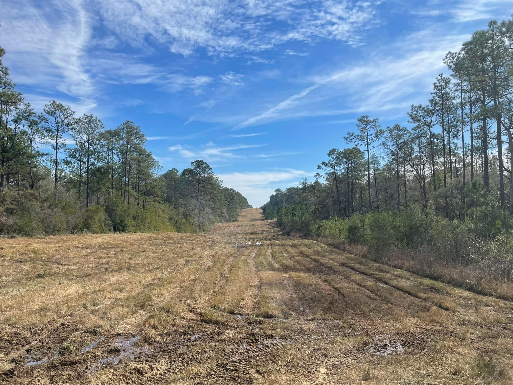 Tbd Tbd Coventry Road DeFuniak Springs, FL 32433 - Photo 6 of 32 25