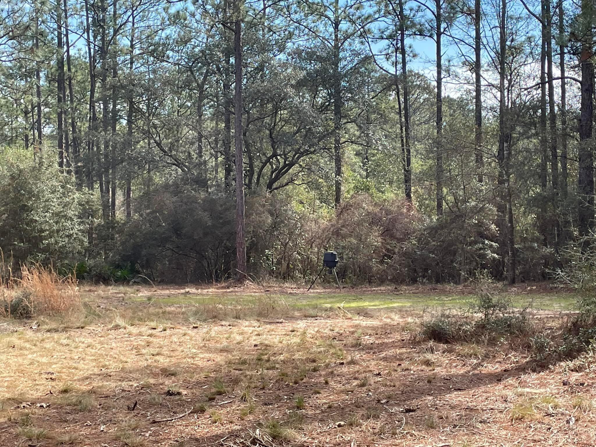 Tbd Tbd Coventry Road DeFuniak Springs, FL 32433 - Photo 8 of 32 24
