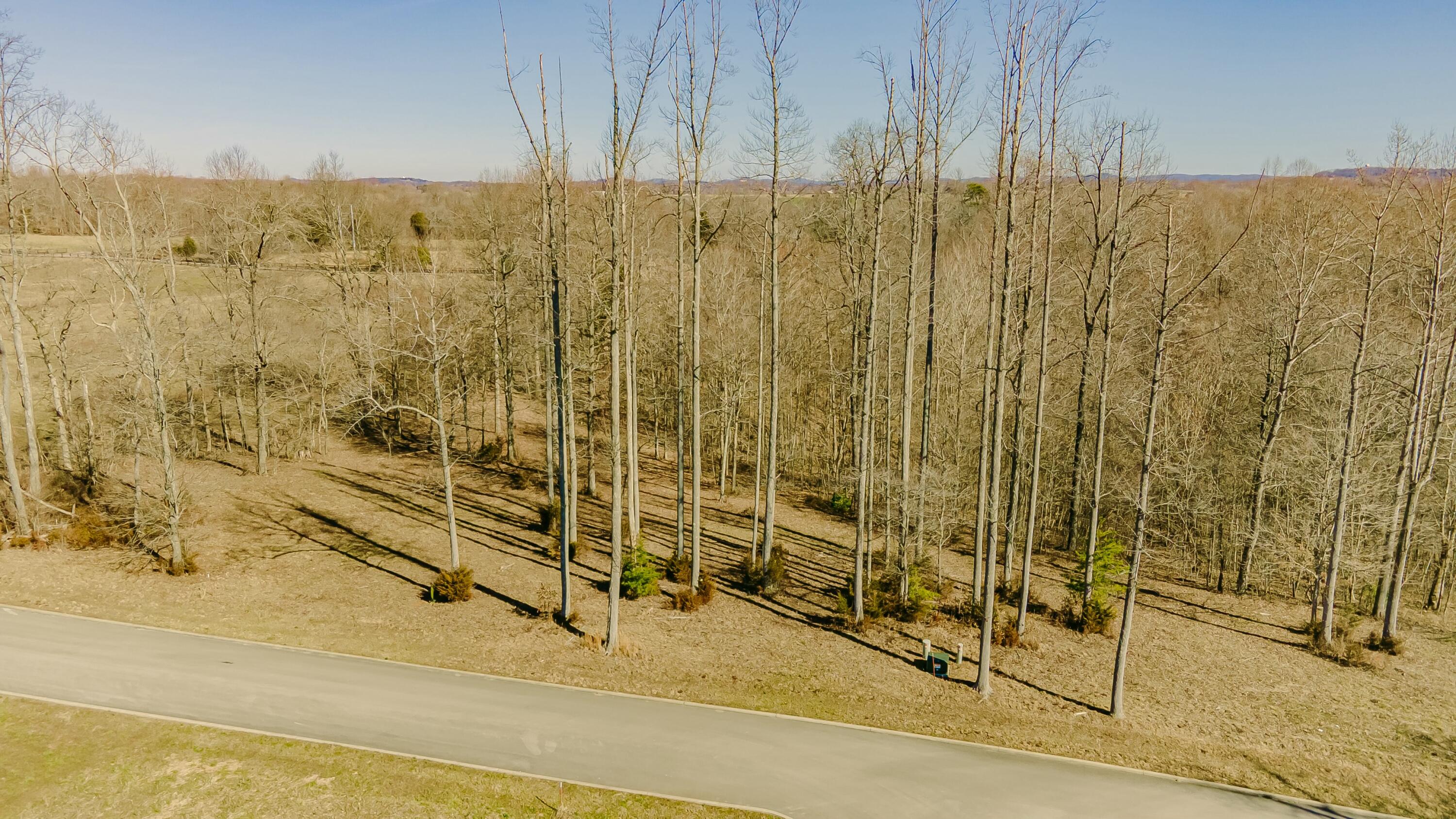 1919 South Shepola Road Nancy, KY 42544 - Photo 5 of 33 tempImageccUYbM