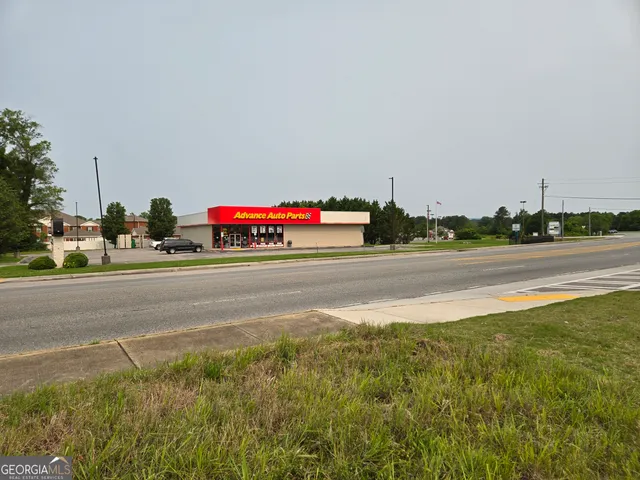 a small garden covered with tall trees