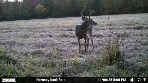 $595,000 | 20835 Highway 64, Bolivar, TN 38008