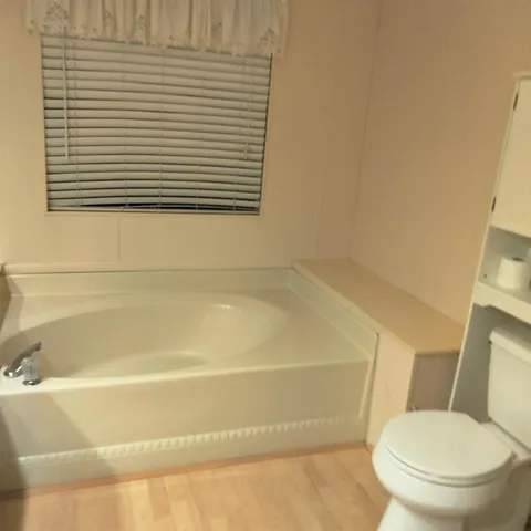 a bathroom with a toilet and a bathtub