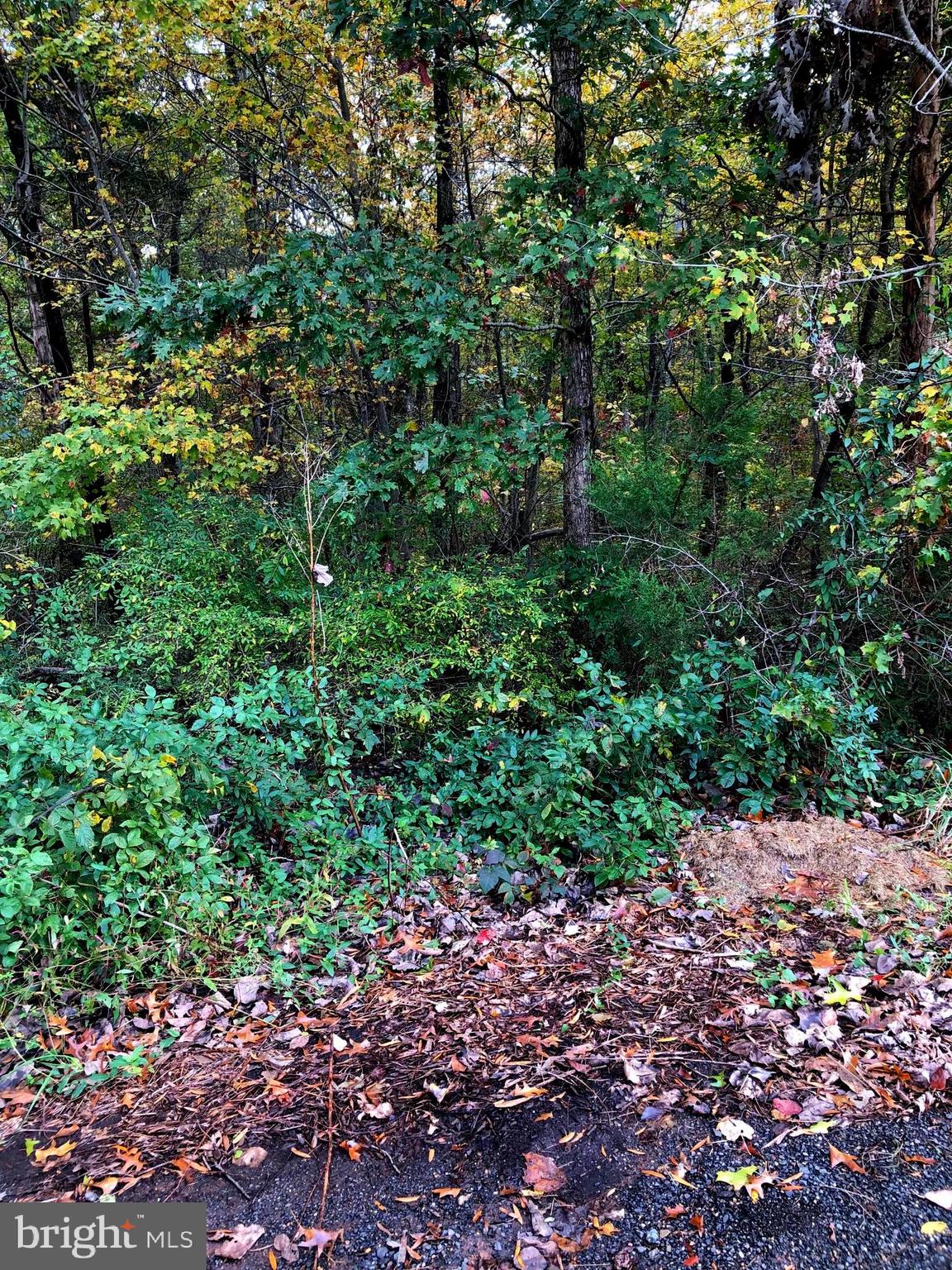 7607 Old Carolina Road Gainesville, VA 20155 - Photo 1 of 4 7607 Old Carolina Road, Lot 2