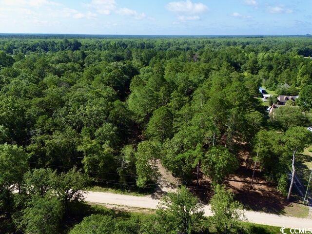 Lot1 Pee Dee School Road Marion, SC 29571 - Photo 5 of 10 Drone / aerial view of a forest