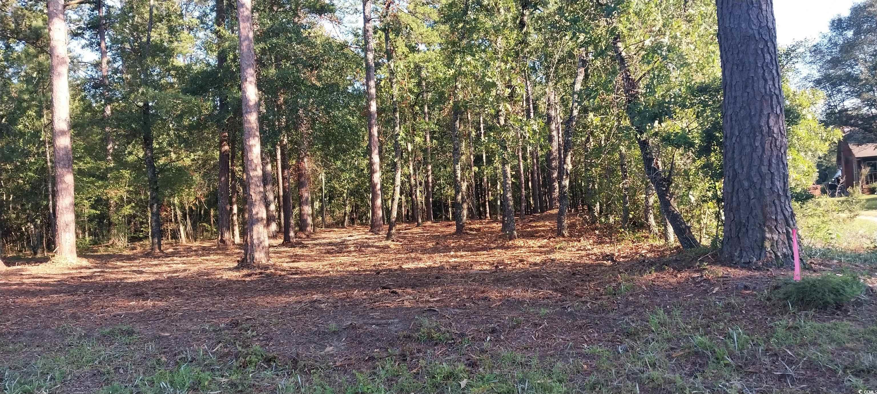 Lot1 Pee Dee School Road Marion, SC 29571 - Photo 7 of 10 View of wooded area