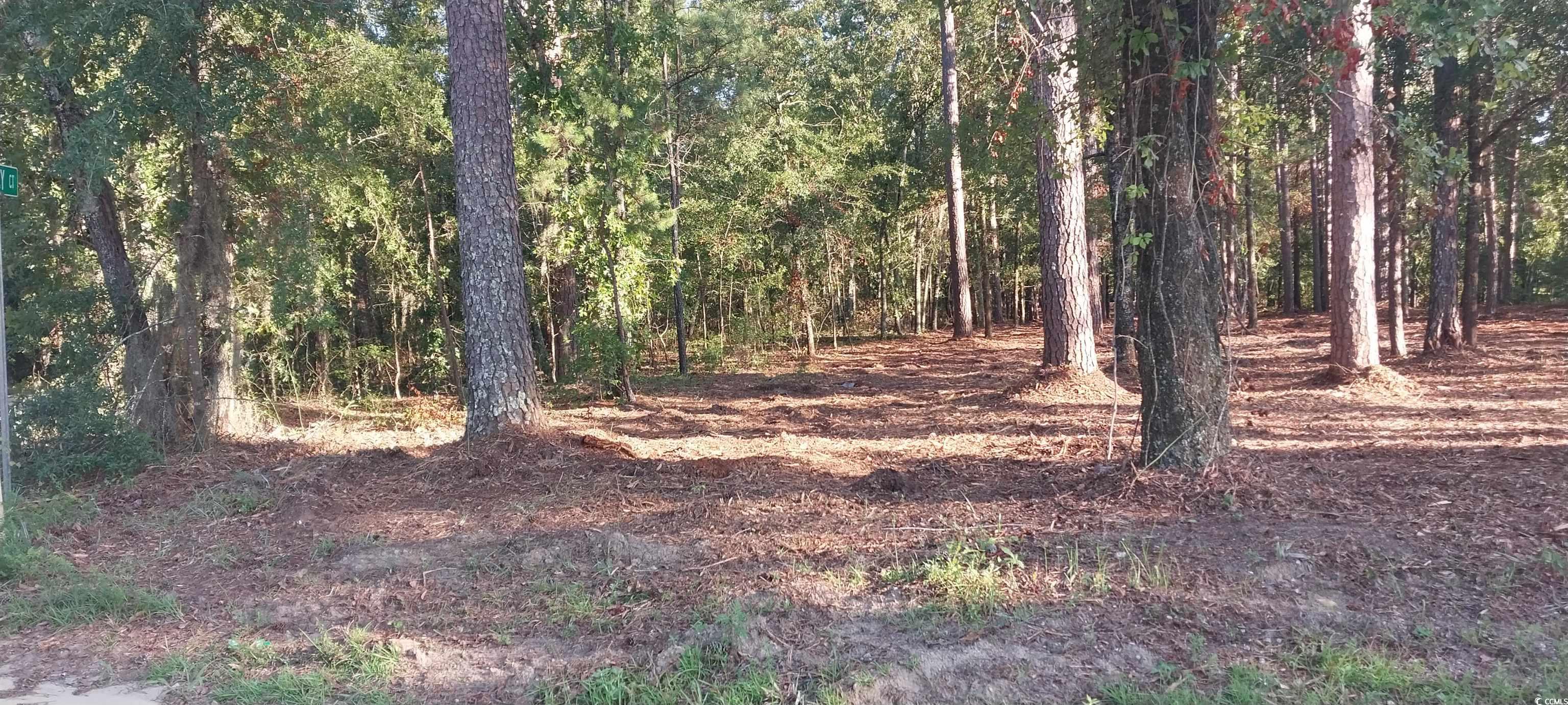 Lot1 Pee Dee School Road Marion, SC 29571 - Photo 8 of 10 View of wooded area