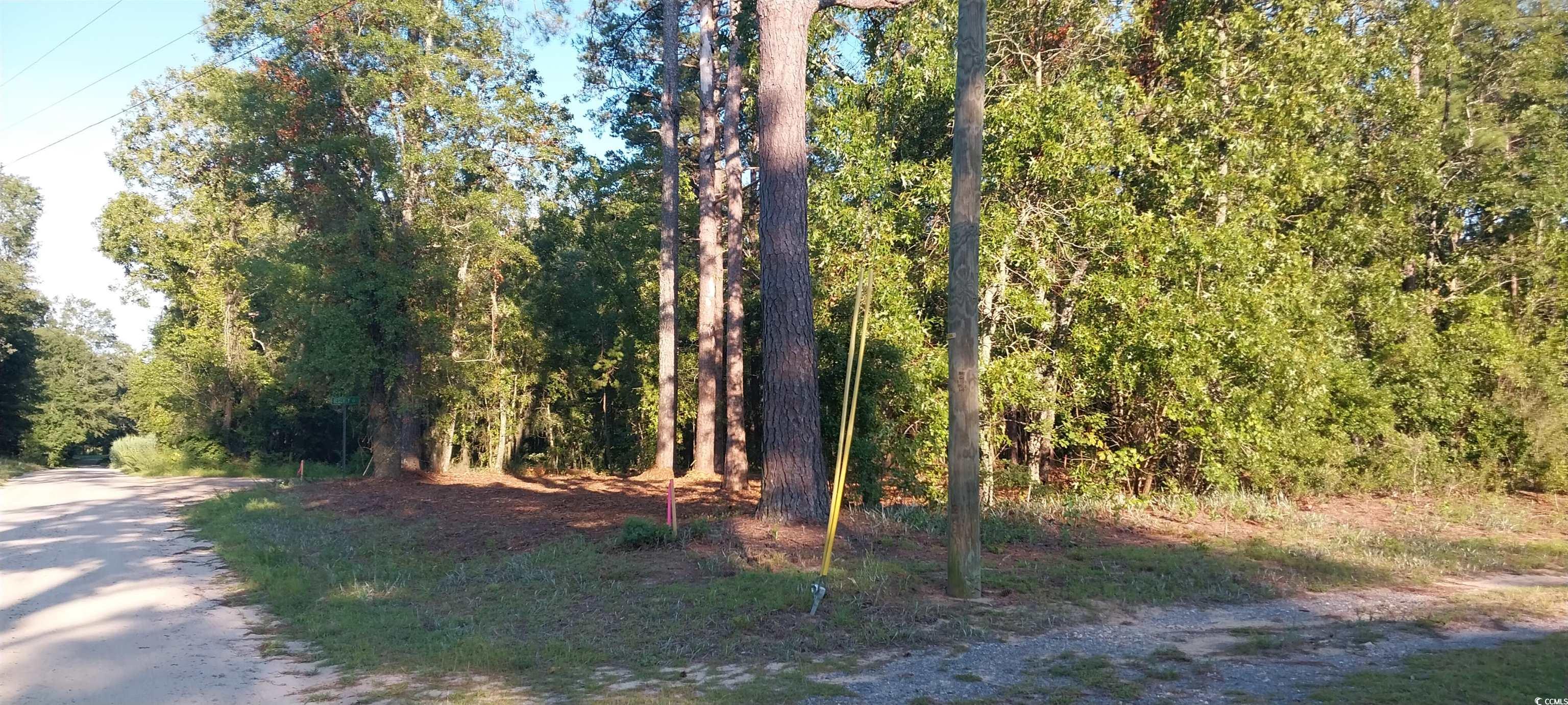 Lot1 Pee Dee School Road Marion, SC 29571 - Photo 10 of 10 View of woods