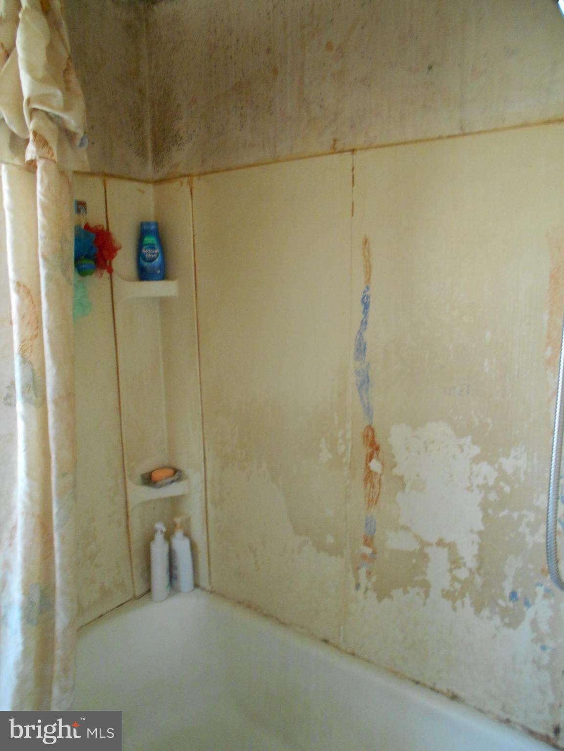 323 West Riverview Road Baltimore, MD 21225 - Photo 14 of 26 Tub/shower