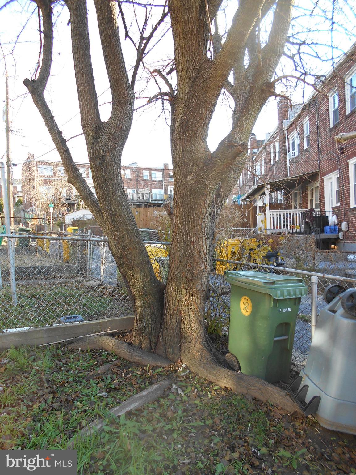 323 West Riverview Road Baltimore, MD 21225 - Photo 24 of 26 Backyard