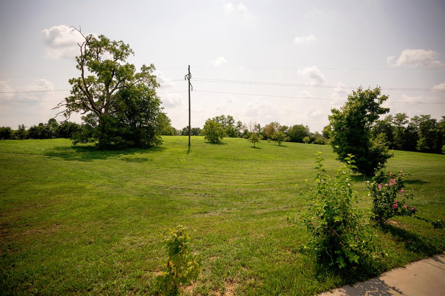 4750 Stewart Road Lexington, KY 40516 - Photo 34 of 53 Photo 34