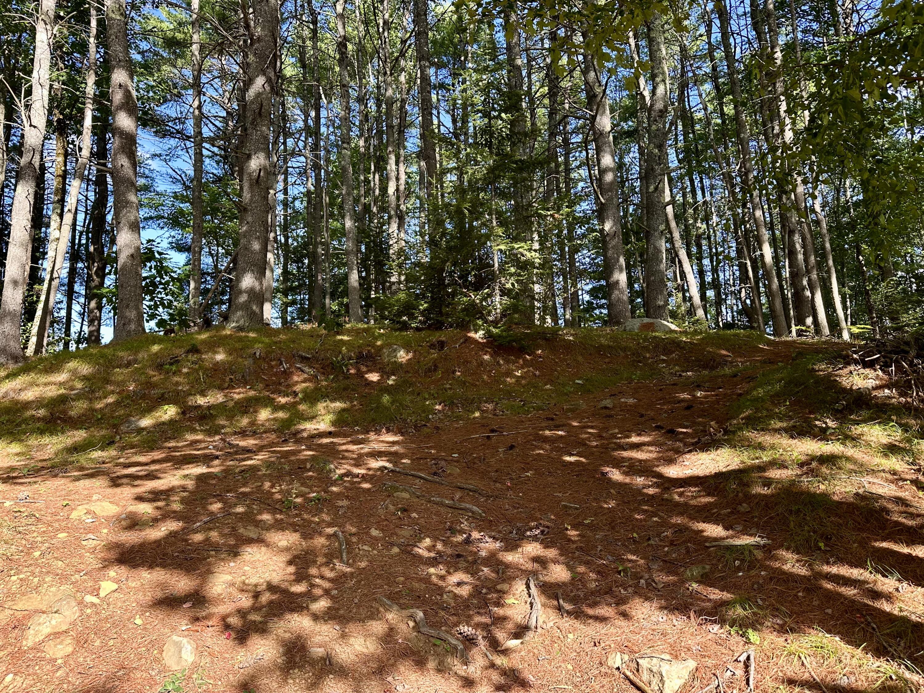 274 Windsor Road Chelsea, ME 04330 - Photo 33 of 39 IMG_0863