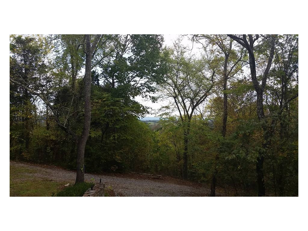 2930 Little Warrensburg Road Midway, TN 37809 - Photo 6 of 15 mt view