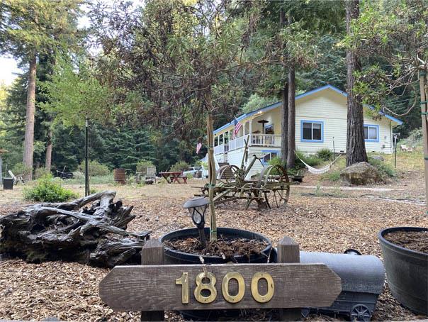 a view of a couches in backyard of house