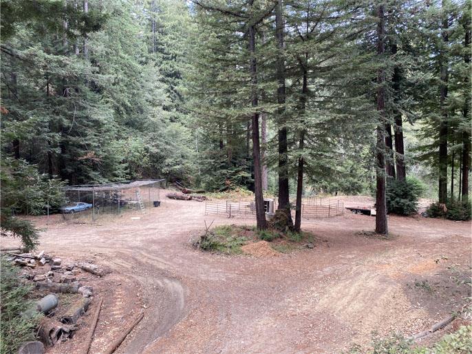 1800 Tucker Road Scotts Valley, CA 95066 - Photo 12 of 33 a view of a tree with a yard