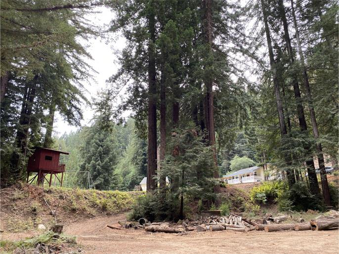 1800 Tucker Road Scotts Valley, CA 95066 - Photo 13 of 33 a view of a road with plants and trees