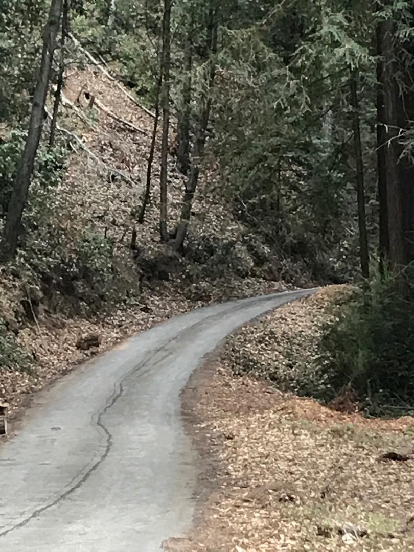 1800 Tucker Road Scotts Valley, CA 95066 - Photo 17 of 33 a view of a yard with plants and trees