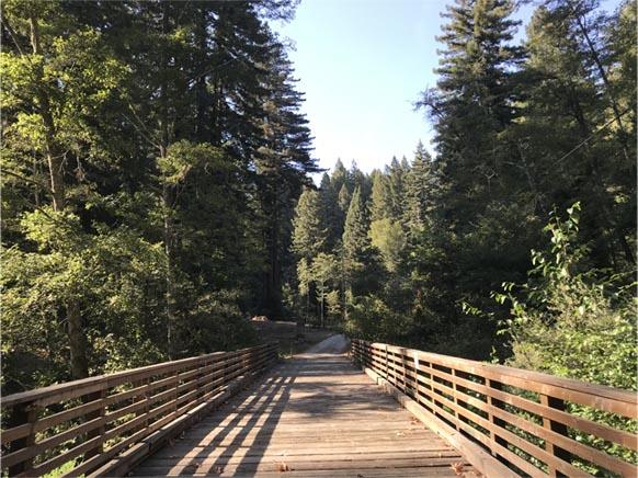 1800 Tucker Road Scotts Valley, CA 95066 - Photo 18 of 33 a view of a wooden floor and trees