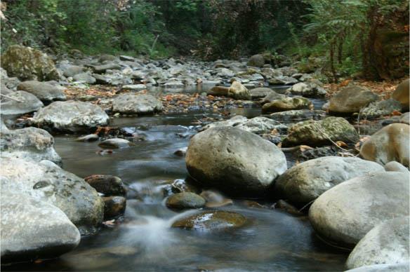 1800 Tucker Road Scotts Valley, CA 95066 - Photo 4 of 33 a view of a lake with large trees