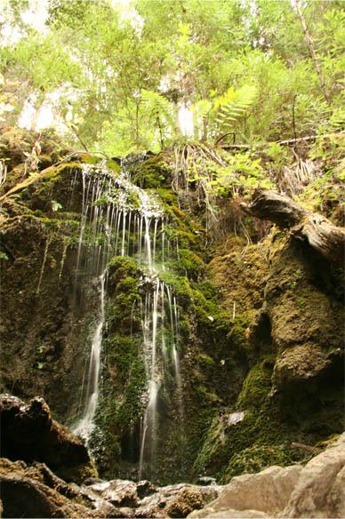 1800 Tucker Road Scotts Valley, CA 95066 - Photo 5 of 33 a view of residential houses with outdoor space