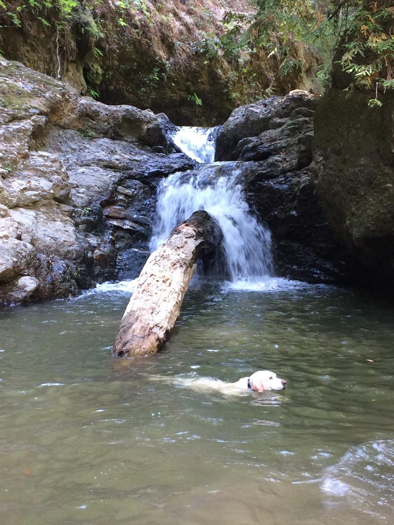 1800 Tucker Road Scotts Valley, CA 95066 - Photo 6 of 33