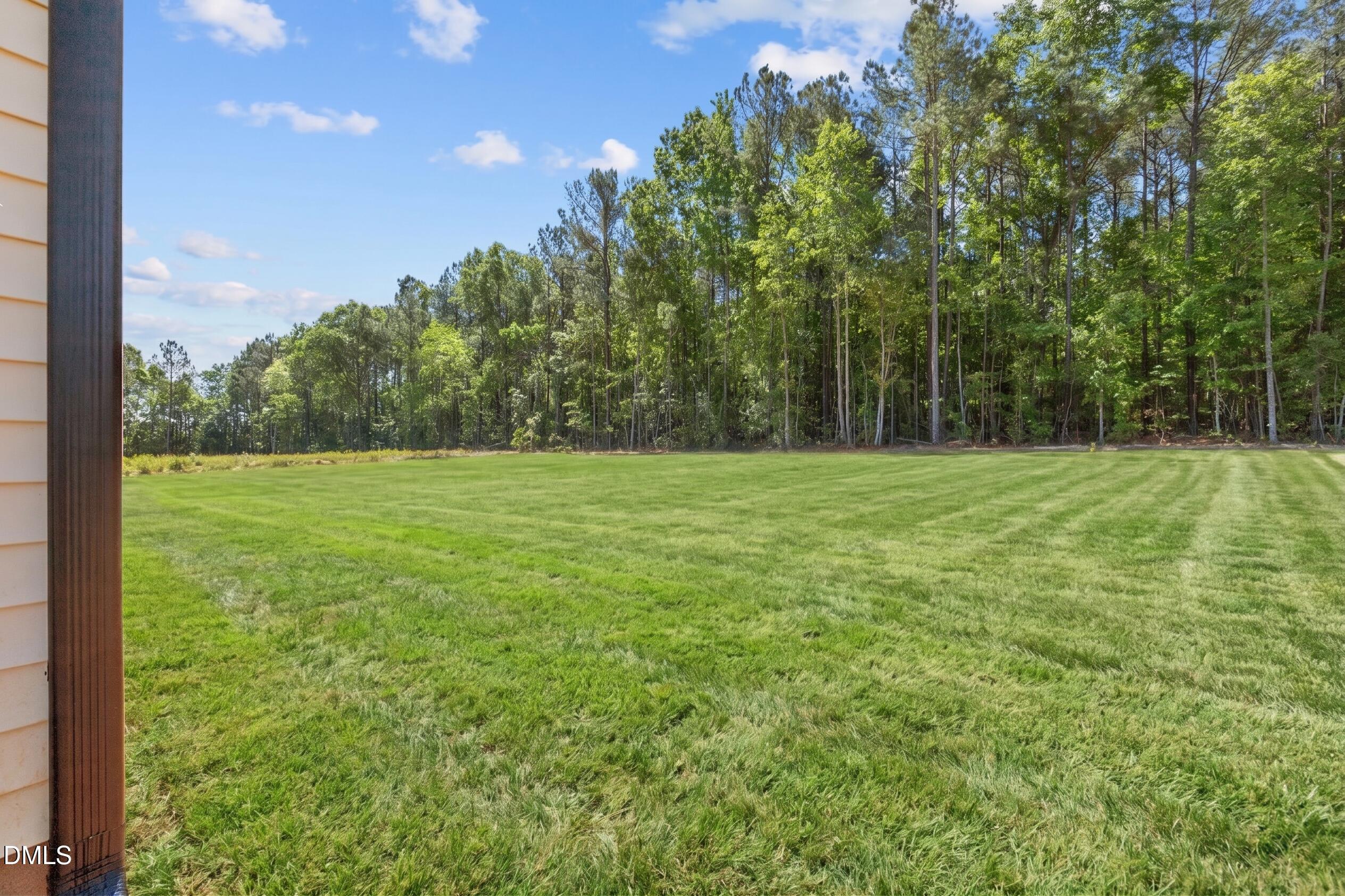 40 Stream Vw Way Spring Hope, NC 27882 - Photo 36 of 44