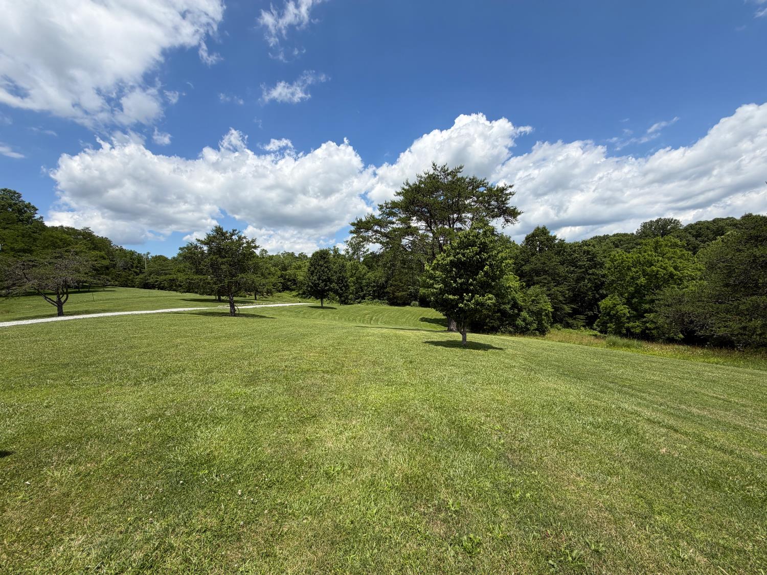 9626 Werner Road Cross Plains, IN 47017 - Photo 52 of 55