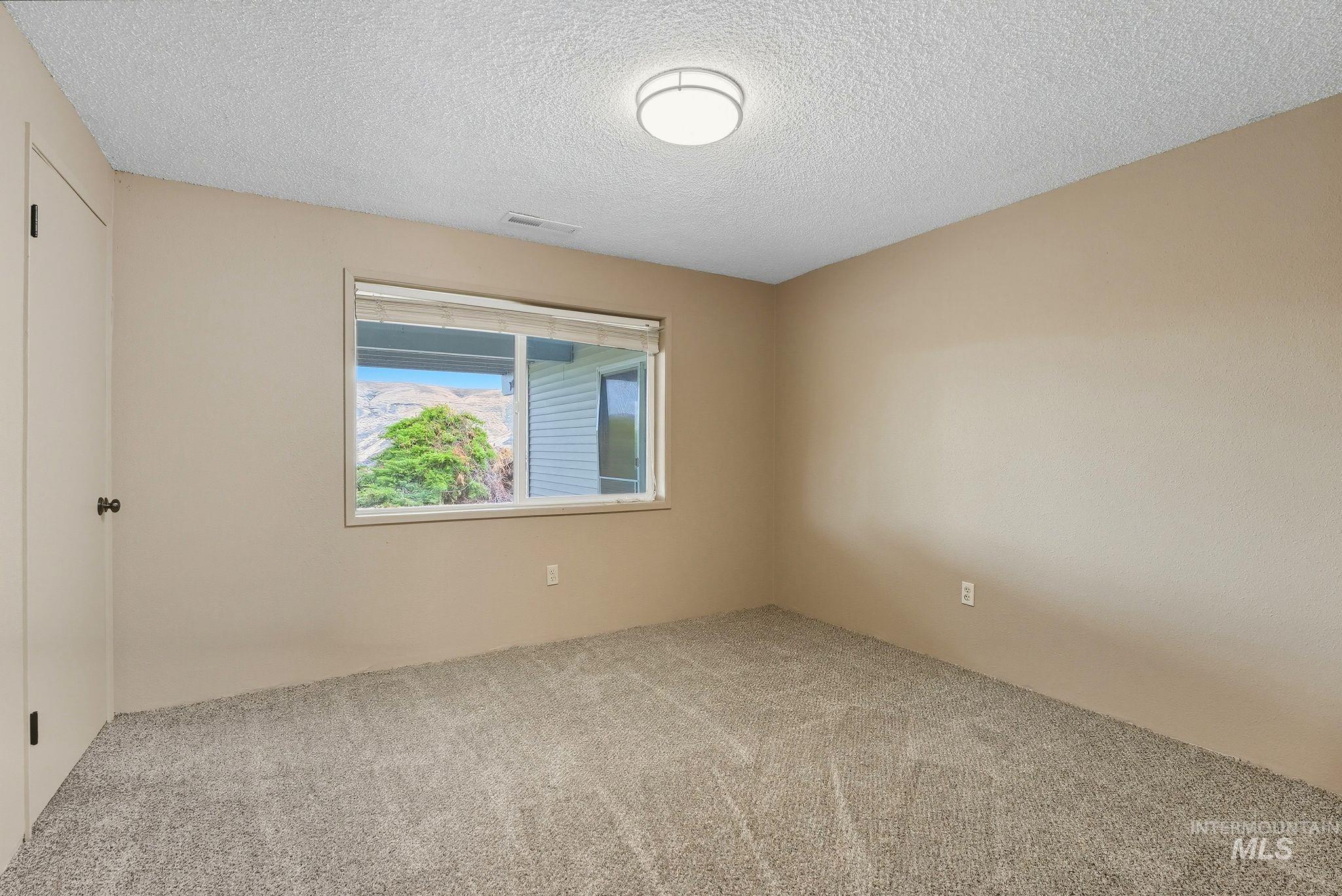 1101 5th Street Asotin, WA 99402 - Photo 24 of 48 Carpeted spare room with a textured ceiling