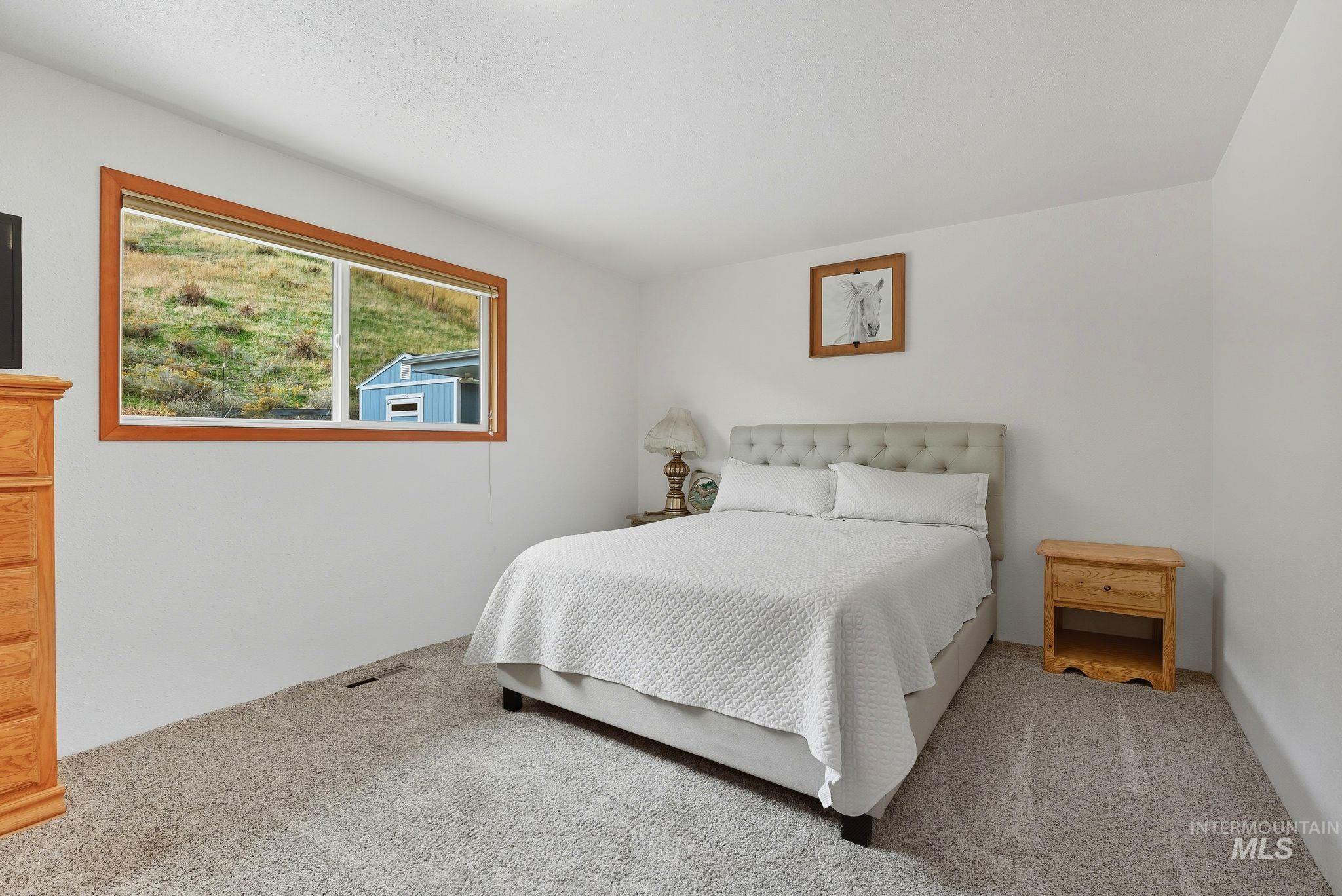 1101 5th Street Asotin, WA 99402 - Photo 29 of 48 Bedroom with carpet floors