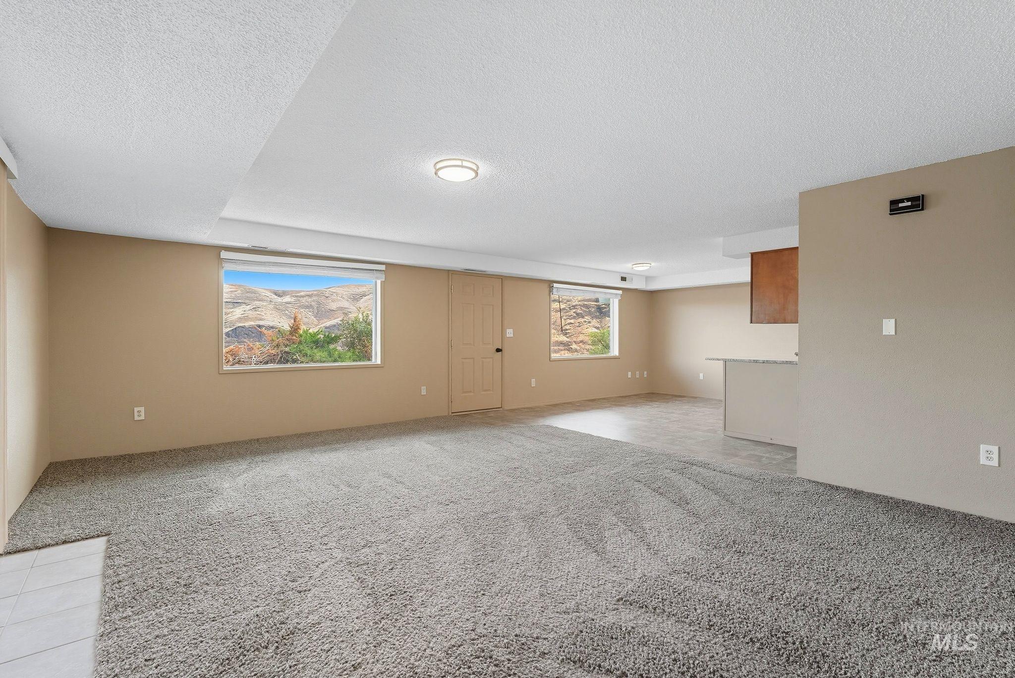 1101 5th Street Asotin, WA 99402 - Photo 31 of 48 Unfurnished living room featuring light colored carpet and a textured ceiling