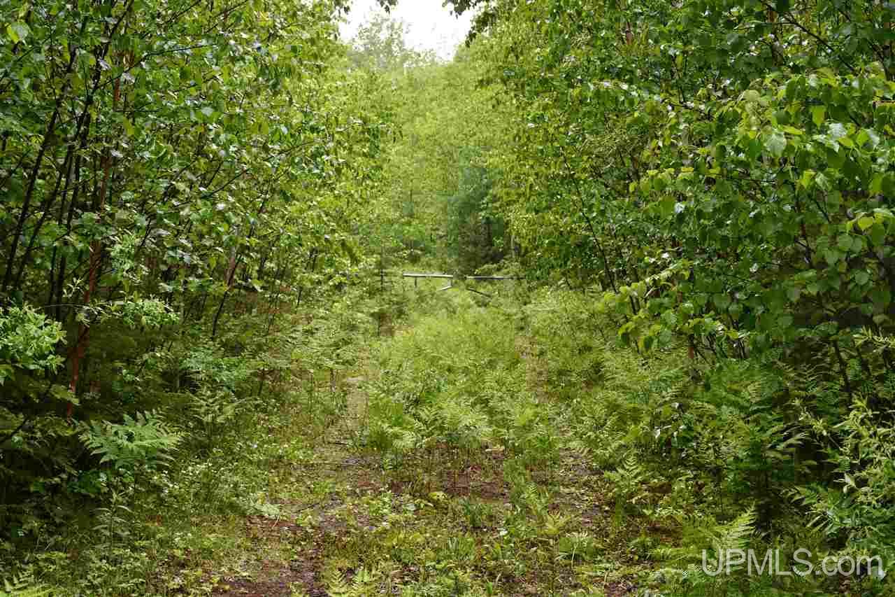 Tbd Mud Lake Road Lake Linden, MI 49945 - Photo 7 of 28