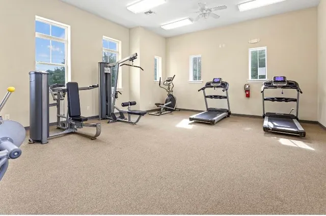 a pathway of a yard with plants and trees