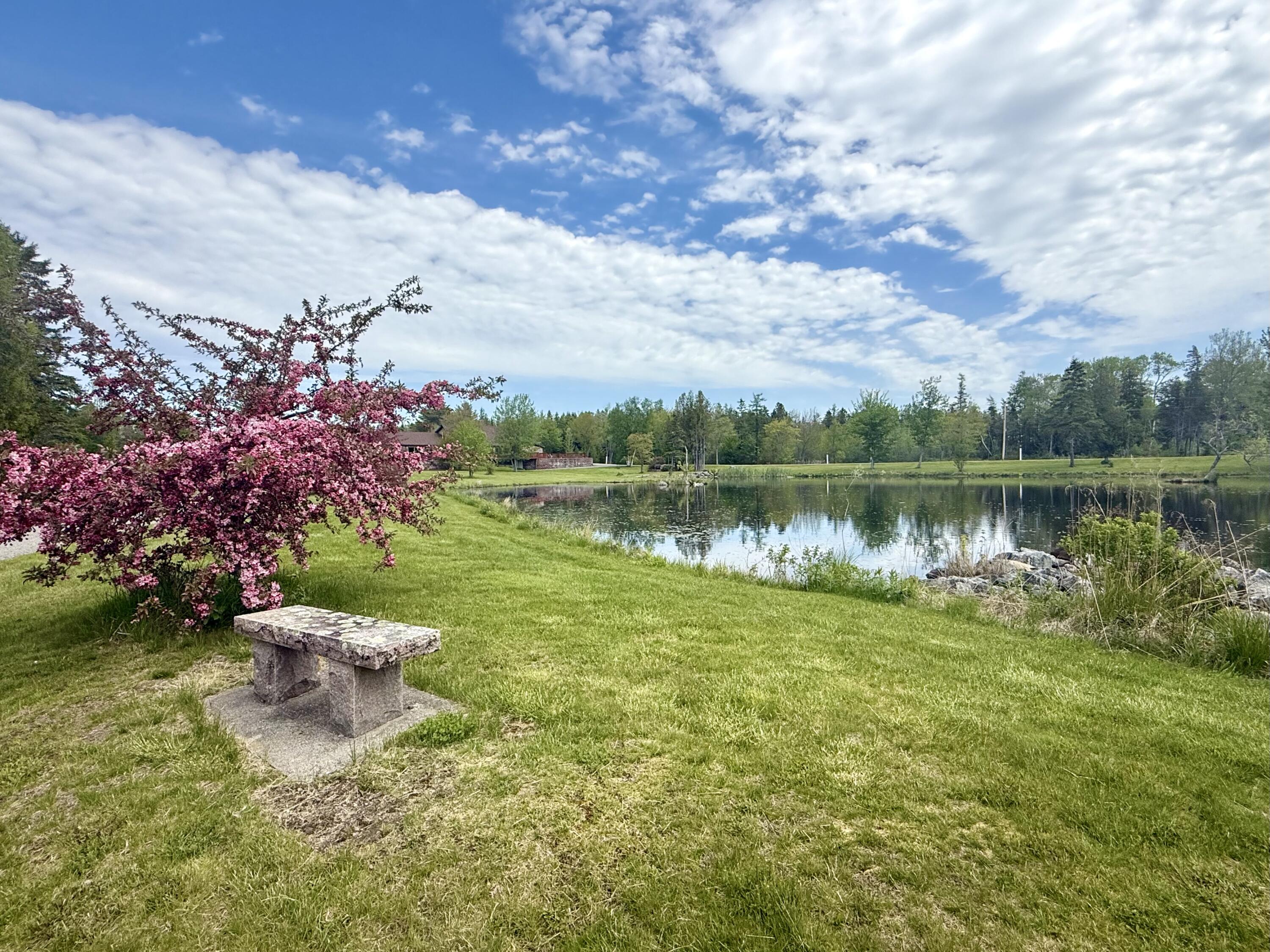 12 Morgan Road Pembroke, ME 04666 - Photo 13 of 124 IMG_0762