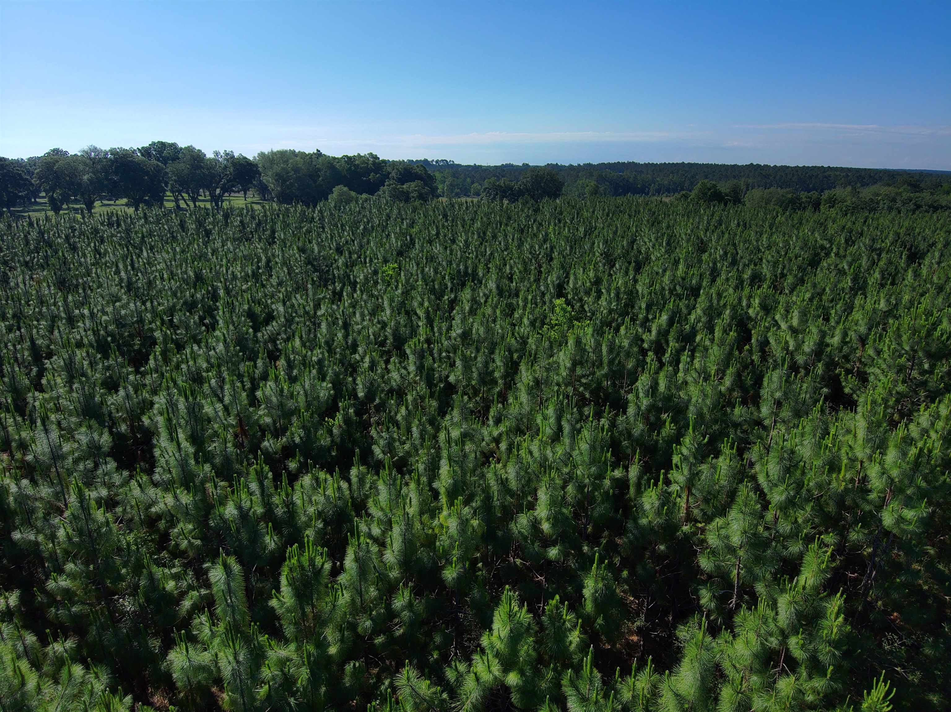 87 County Road 87 Elberta, AL 36530 - Photo 45 of 66