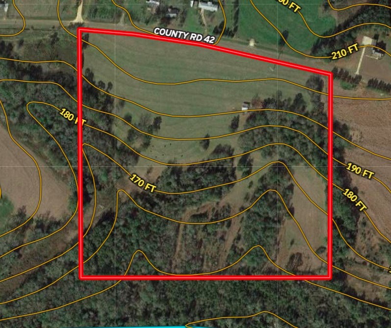 0 Tom Fain Road Geneva, AL 36340 - Photo 12 of 13