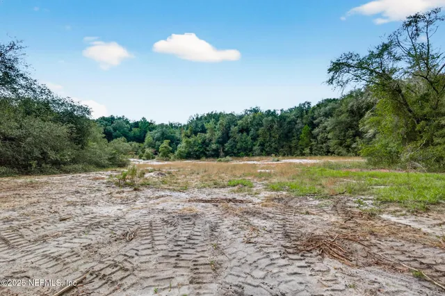 a view of a backyard with plants and a patio