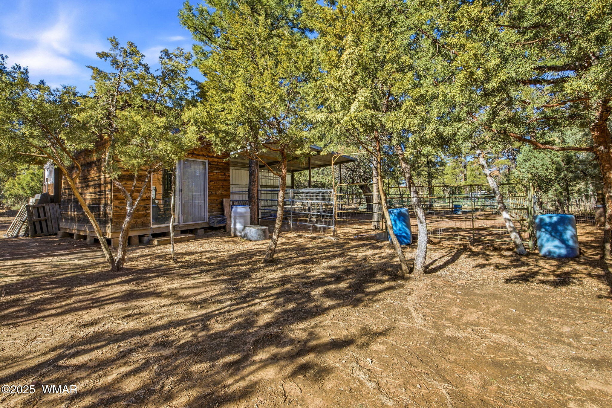 2009 Judy Ranch Road Overgaard, AZ 85933 - Photo 29 of 32 a view of a backyard with a tree