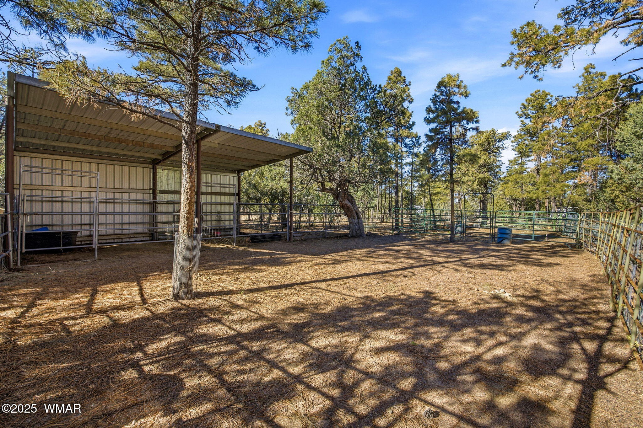2009 Judy Ranch Road Overgaard, AZ 85933 - Photo 30 of 32 a view of outdoor space yard and basketball court