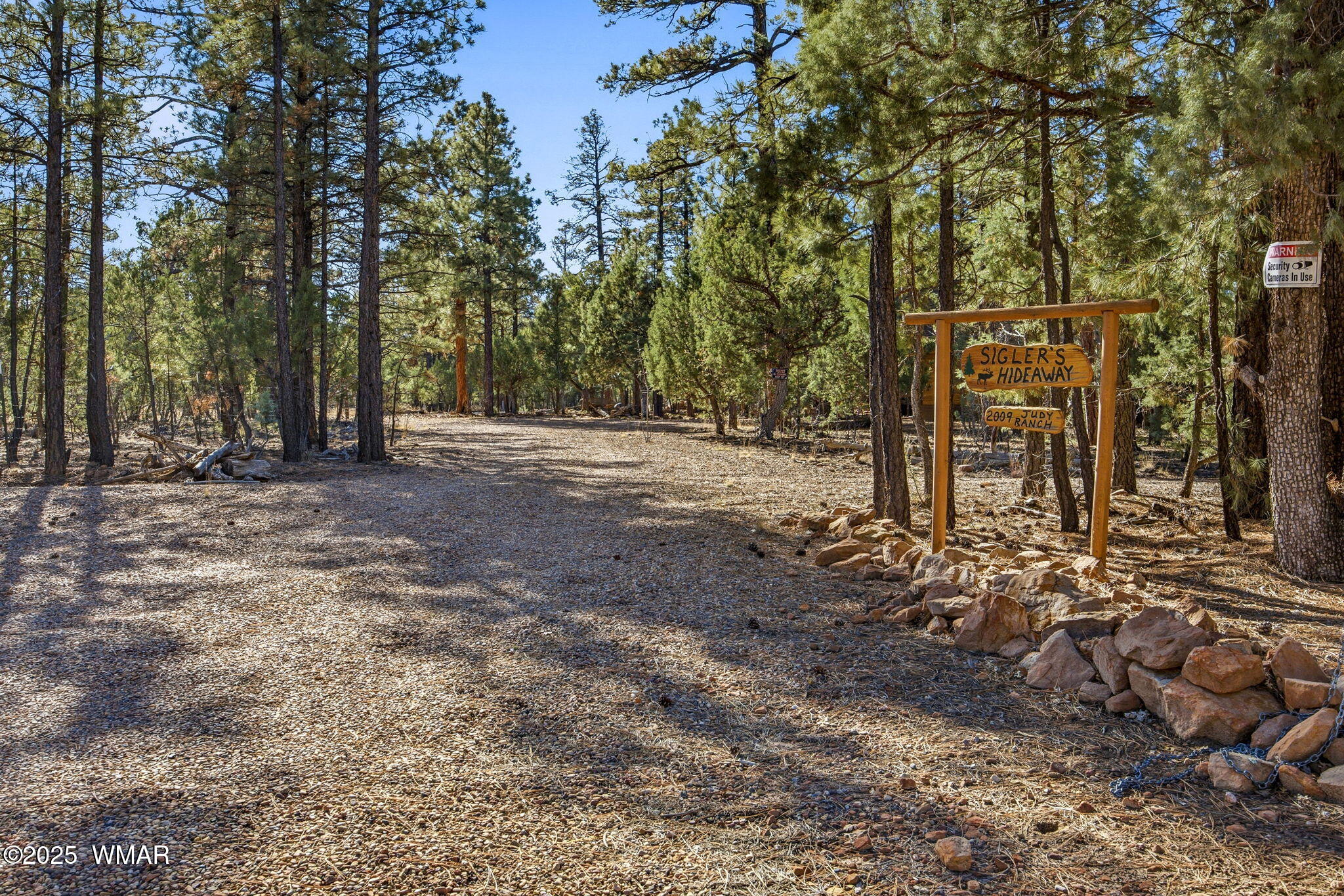 2009 Judy Ranch Road Overgaard, AZ 85933 - Photo 32 of 32 a view of a forest with trees