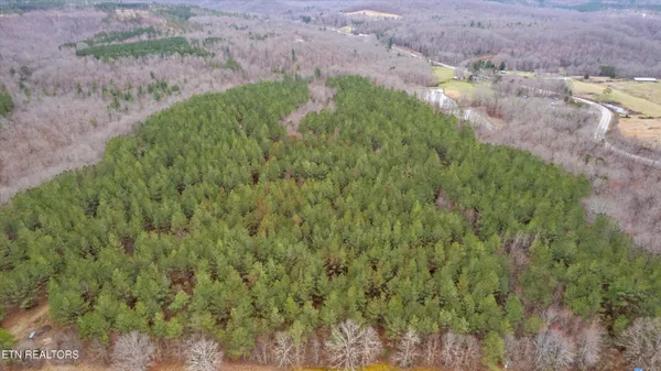 $300,000 | 0 Morgan County Highway, Sunbright, TN 37872